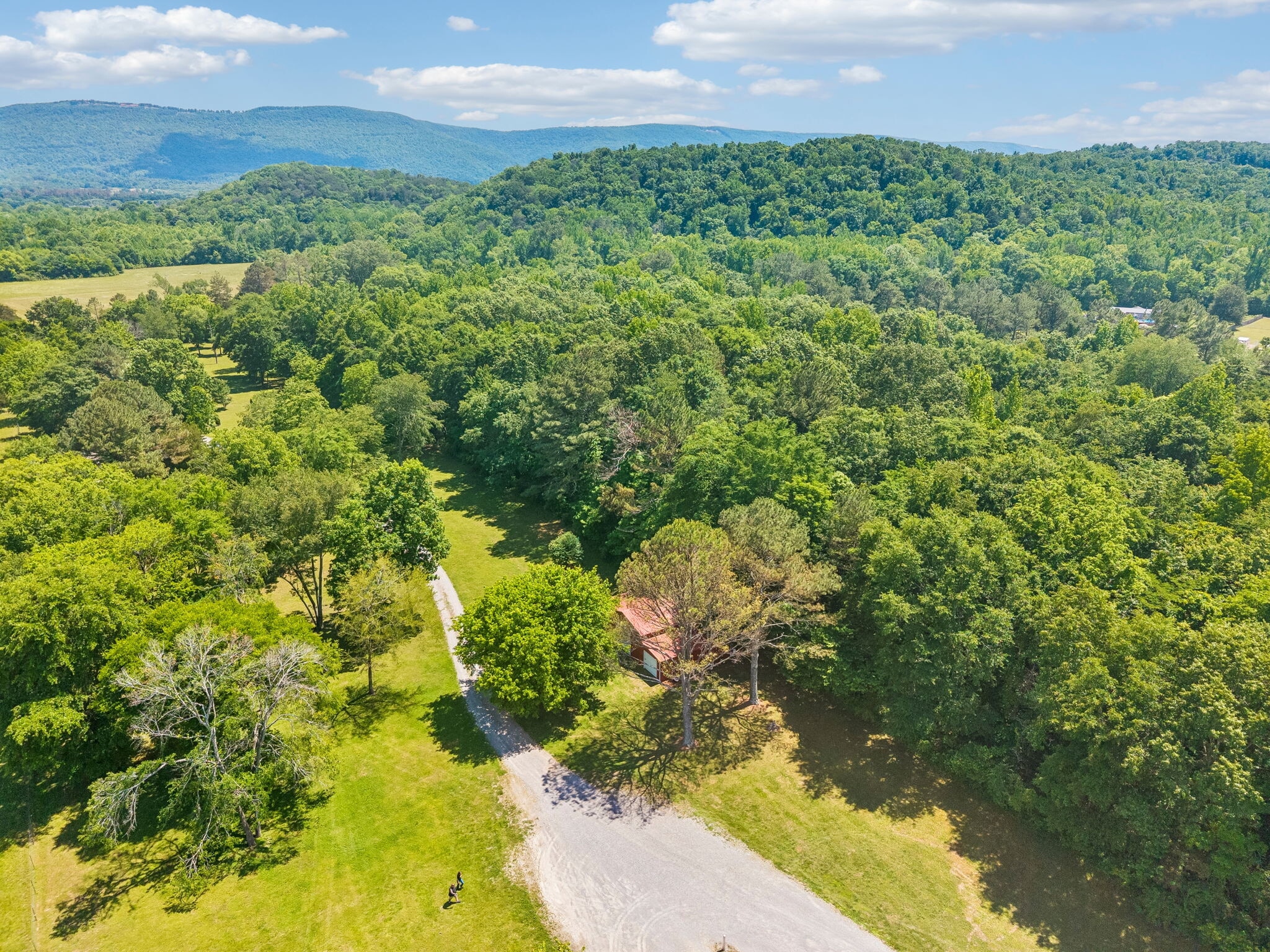 49 Cutting Edge Ln, Dunlap, TN à vendre Photo du bâtiment- Image 1 de 57