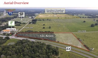 Plus de détails pour SR 44 & CR 229, Wildwood, FL - Terrain à vendre