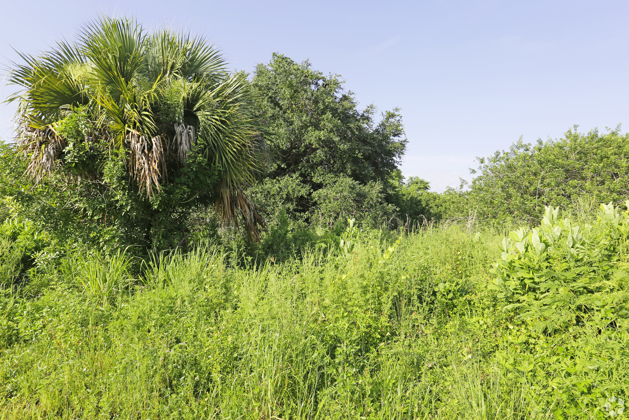 Taylor Rd, Punta Gorda, FL for sale Primary Photo- Image 1 of 1