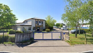 Plus de détails pour Flex à vendre