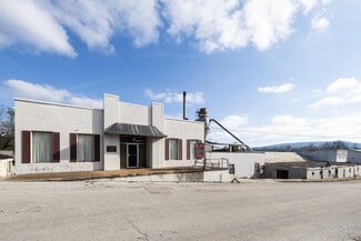 Plus de détails pour 301 Depot St, McMinnville, TN - Industriel à vendre