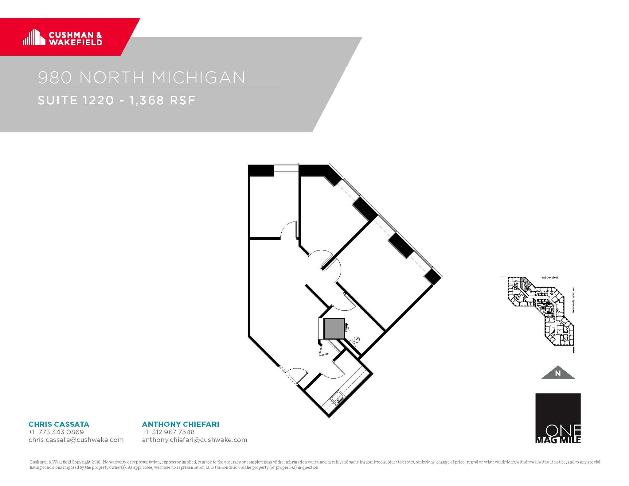 980 N Michigan Ave, Chicago, IL à louer Plan d’étage- Image 1 de 1