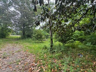 Plus de détails pour 12410 US-165 Hwy, Glenmora, LA - Terrain à vendre