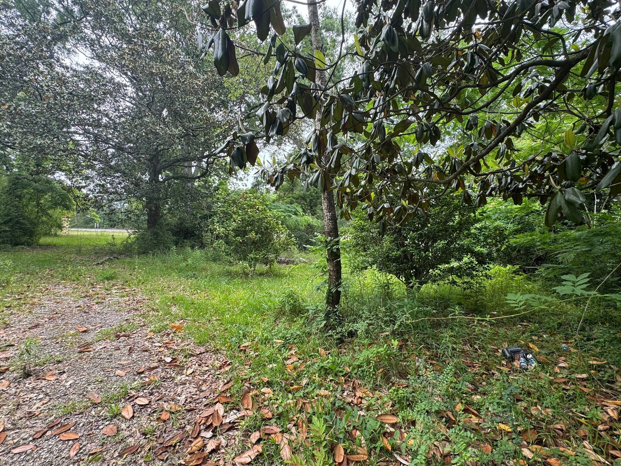 12410 US-165 Hwy, Glenmora, LA for sale Other- Image 1 of 9