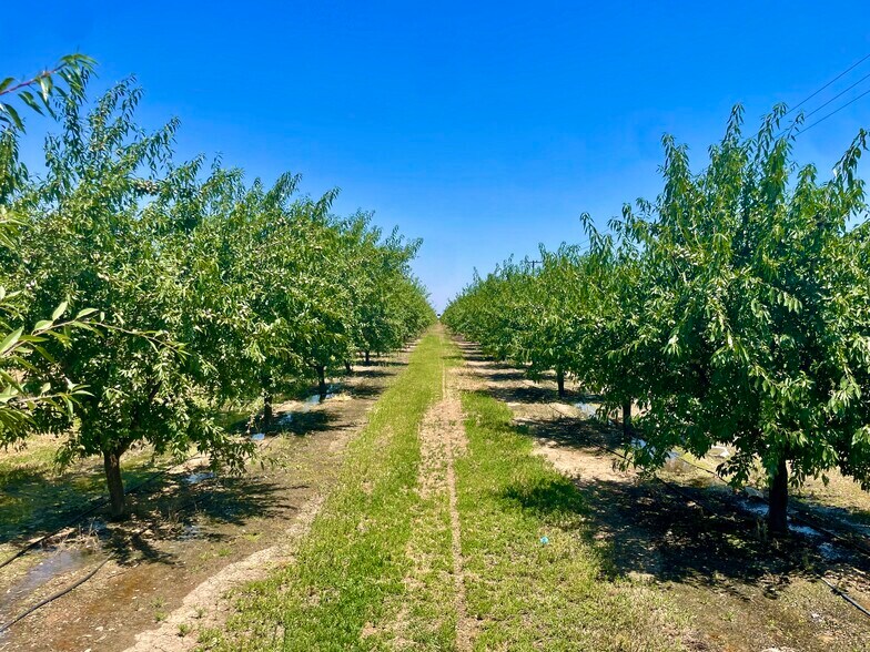 Whitworth rd, Gustine, CA for sale - Other - Image 2 of 9