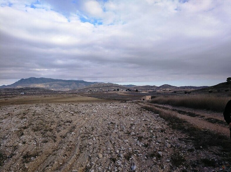 Terrain dans Jumilla, Murcia à vendre - Plan de site - Image 3 de 8