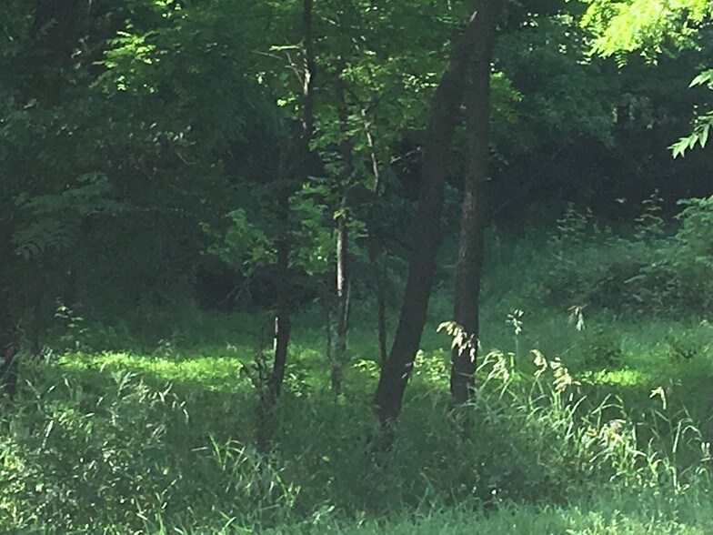 277 Route 94, Vernon, NJ à vendre - Autre - Image 3 de 3