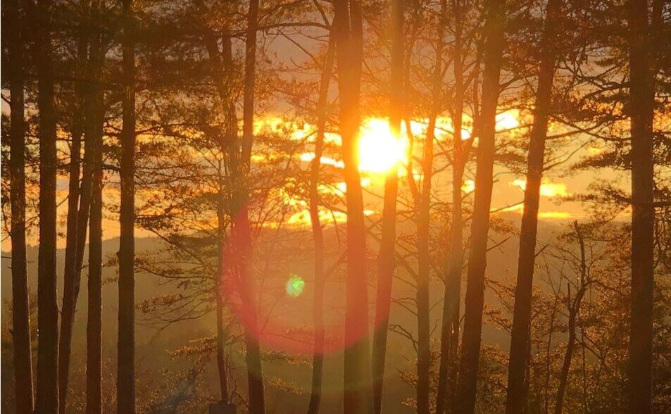 Blue Ridge Heights Drive, Blue Ridge, GA à vendre - Photo du bâtiment - Image 2 de 4