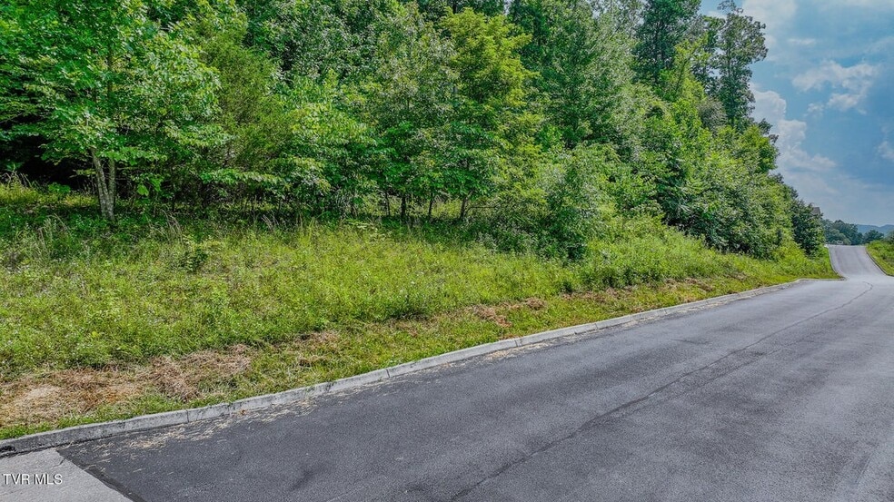 000 Fordtown Rd, Kingsport, TN for sale - Other - Image 3 of 8