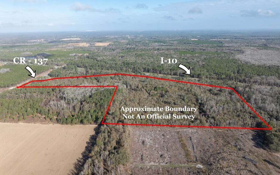 TBD CR 137 & I-10, Wellborn, FL for sale - Primary Photo - Image 1 of 21