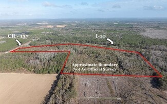 More details for TBD CR 137 & I-10, Wellborn, FL - Land for Sale