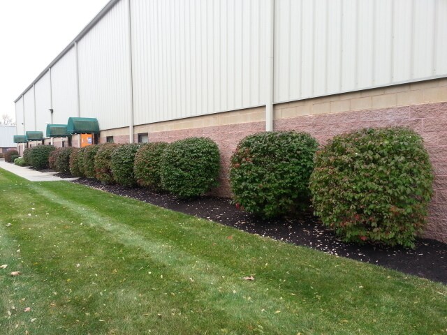 8 Petra Ln, Albany, NY for lease Building Photo- Image 1 of 2