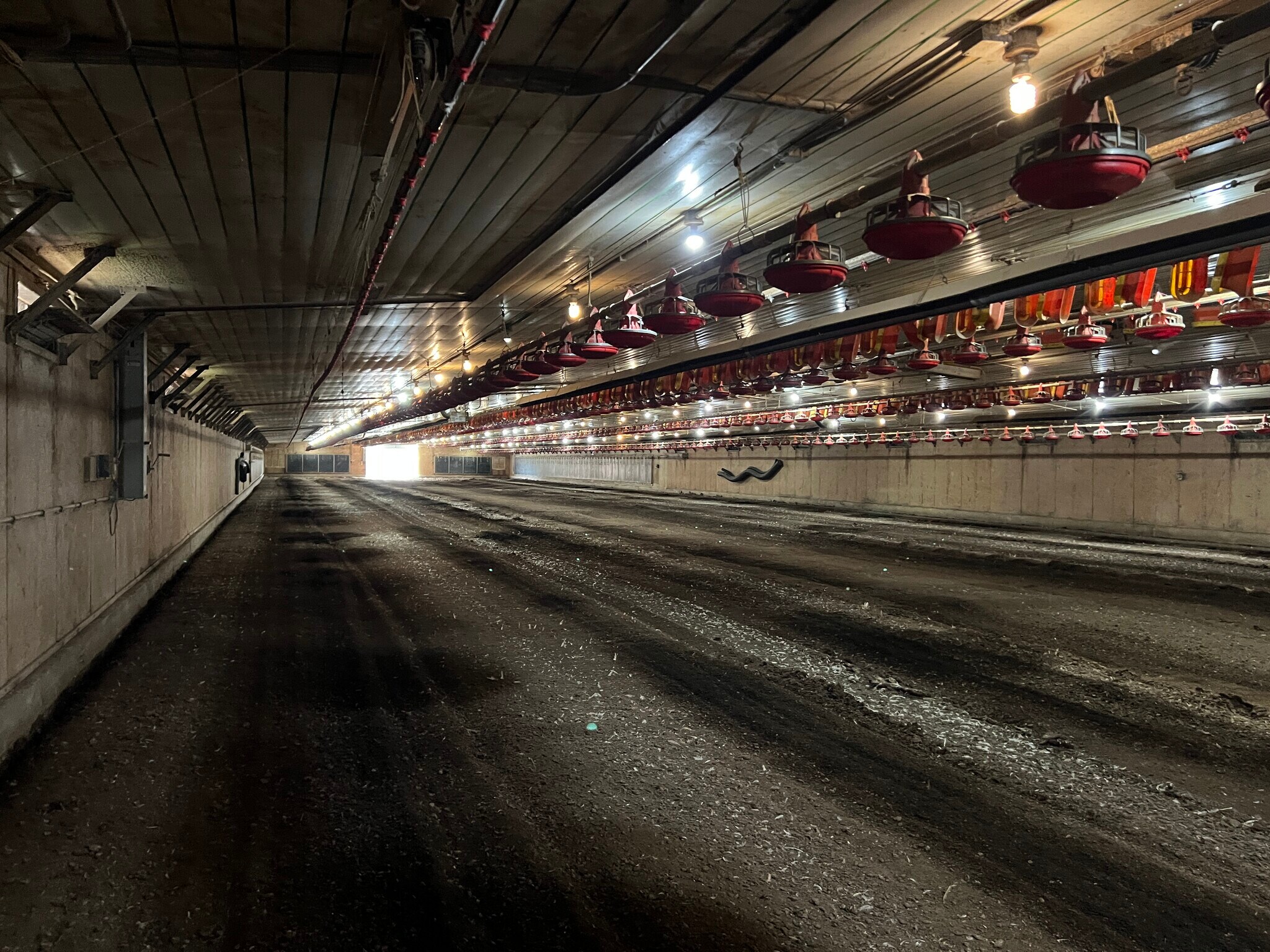 25398 AL Highway 71, Flat Rock, AL à vendre Photo principale- Image 1 de 11