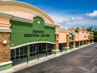 More details for 7831 Mitchell Blvd, New Port Richey, FL - Retail for Lease