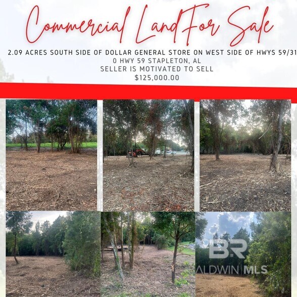 0 Highway 59 Hwy, Stapleton, AL for sale - Primary Photo - Image 1 of 5