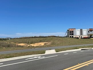Plus de détails pour 910 Citrus Grove Road, Minneola, FL - Terrain à vendre