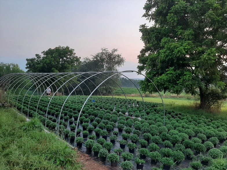 1814 Iron Bridge Rd, Hustontown, PA à vendre - Photo du bâtiment - Image 3 de 44