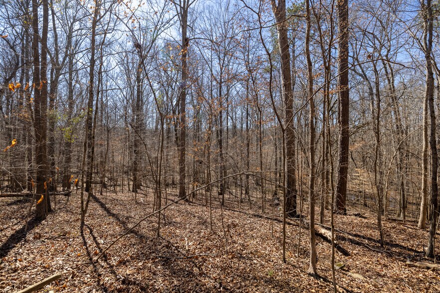 0 Fontainbleau Dr, Conyers, GA à vendre - Autre - Image 3 de 9