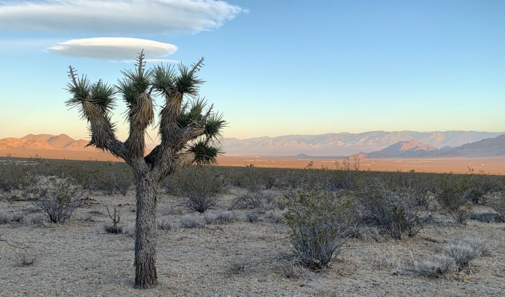 0 Meander Rd, Lucerne Valley, CA for sale - Building Photo - Image 1 of 1