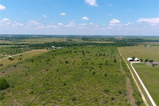 Plus de détails pour 8079 fm 2001, Niederwald, TX - Terrain à vendre