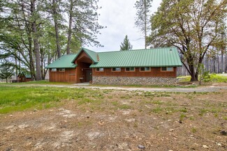 Plus de détails pour 445 Zink Rd, Berry Creek, CA - Terrain à vendre