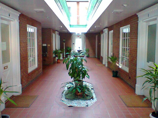 711 South Blvd, Oak Park, IL à louer - Photo intérieure - Image 2 de 5