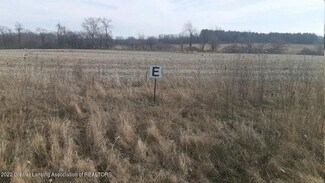 More details for V/L Montels Way, Charlotte, MI - Land for Sale
