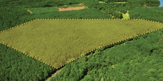 Plus de détails pour Saddle Club, Plum Branch, SC - Terrain à vendre