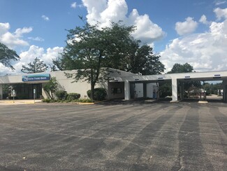 Plus de détails pour 486 W Liberty St, Wauconda, IL - Bureau à vendre