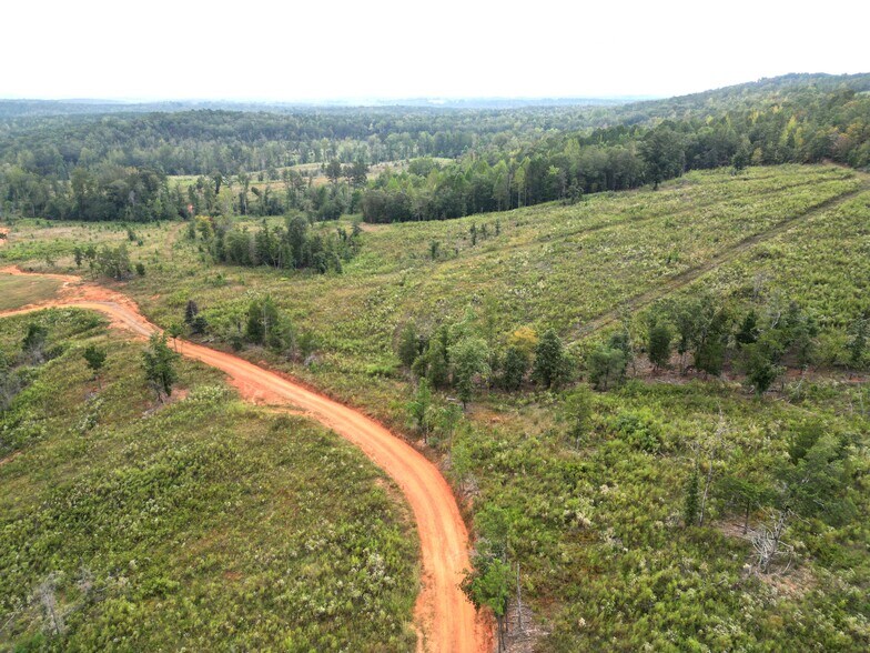 800 Smoke Rise Dr, Woodland, GA à vendre - Aérien - Image 3 de 5