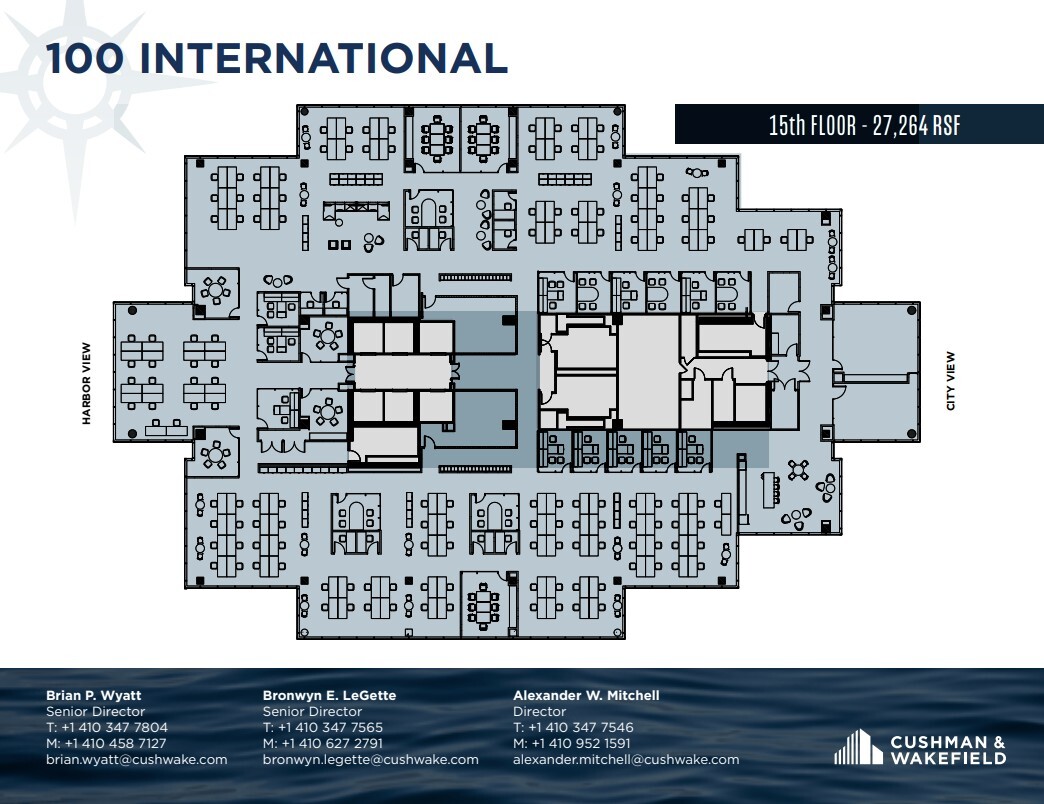 100 International Dr, Baltimore, MD for lease Floor Plan- Image 1 of 1