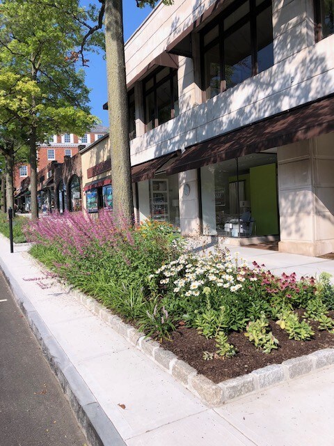 45 E Putnam Ave, Greenwich, CT à louer - Photo du bâtiment - Image 2 de 2