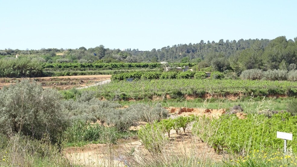 Polígono Enchilagar del Rullo, 16, Vilamarxant, Valencia à vendre - Aérien - Image 3 de 27