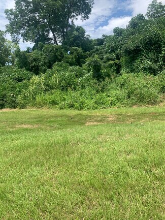 More details for 119 N Aycock St, Carrollton, GA - Land for Sale