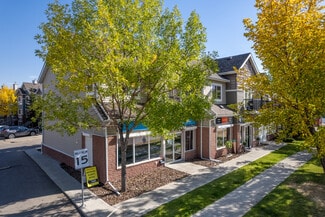 Plus de détails pour 90 Erin Woods Crt SE, Calgary, AB - Commerce de détail à vendre