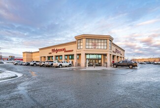 Plus de détails pour 1721 E Parks Hwy, Wasilla, AK - Vente au détail à vendre