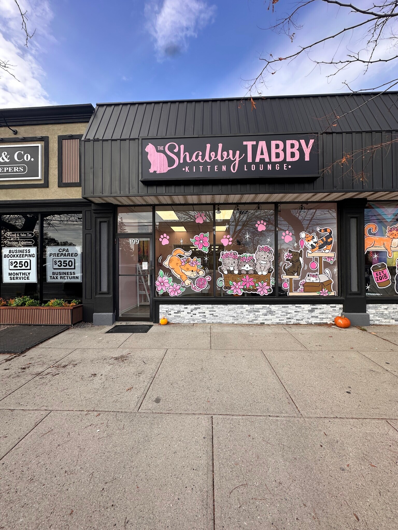 195-199 W Main St, Sayville, NY for lease Building Photo- Image 1 of 5