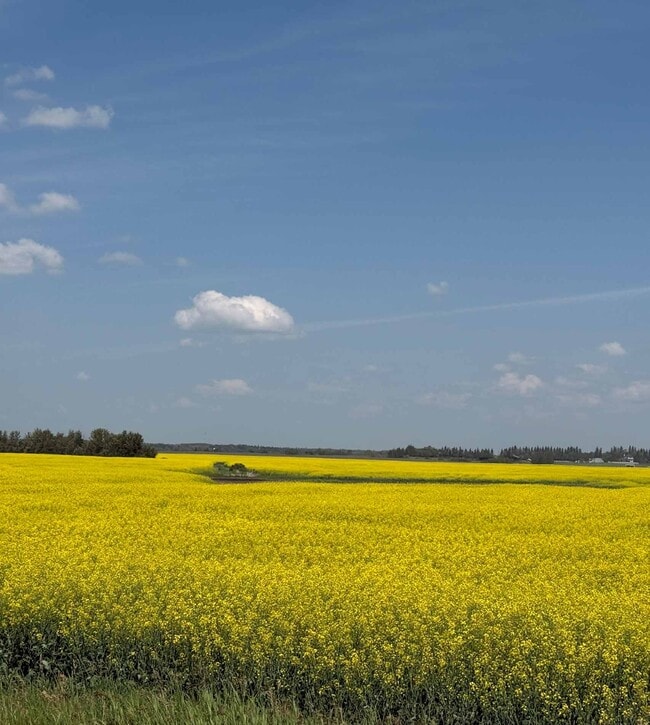 Plus de détails pour 23404 Township Rd 554, Sturgeon County, AB - Terrain à vendre