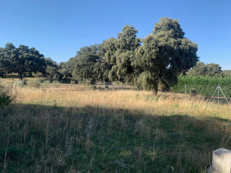 Land in Maello, Ávila for sale - Building Photo - Image 3 of 3