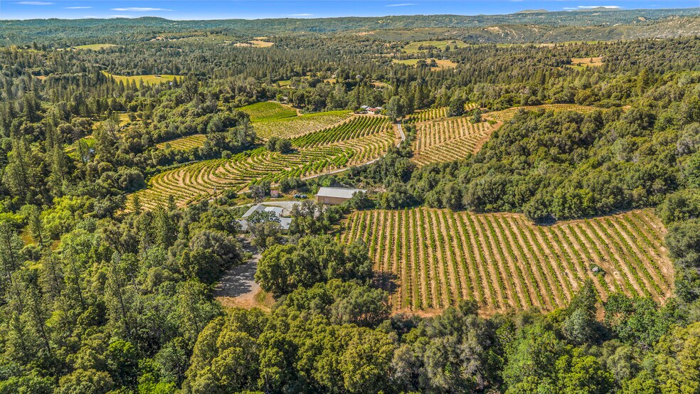 8221 Stoney Creek Rd, Fair Play, CA à vendre - Photo du bâtiment - Image 3 de 28