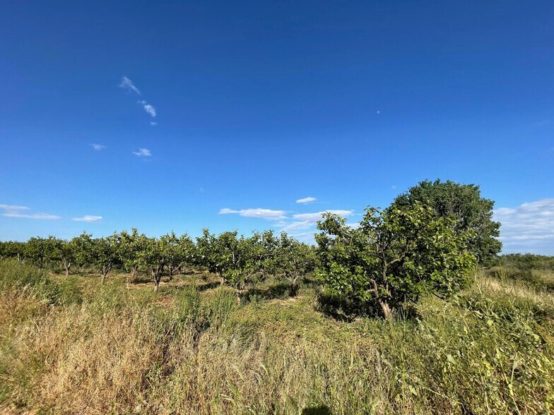 Numero, 302, Benimodo, Valencia for sale - Building Photo - Image 2 of 4