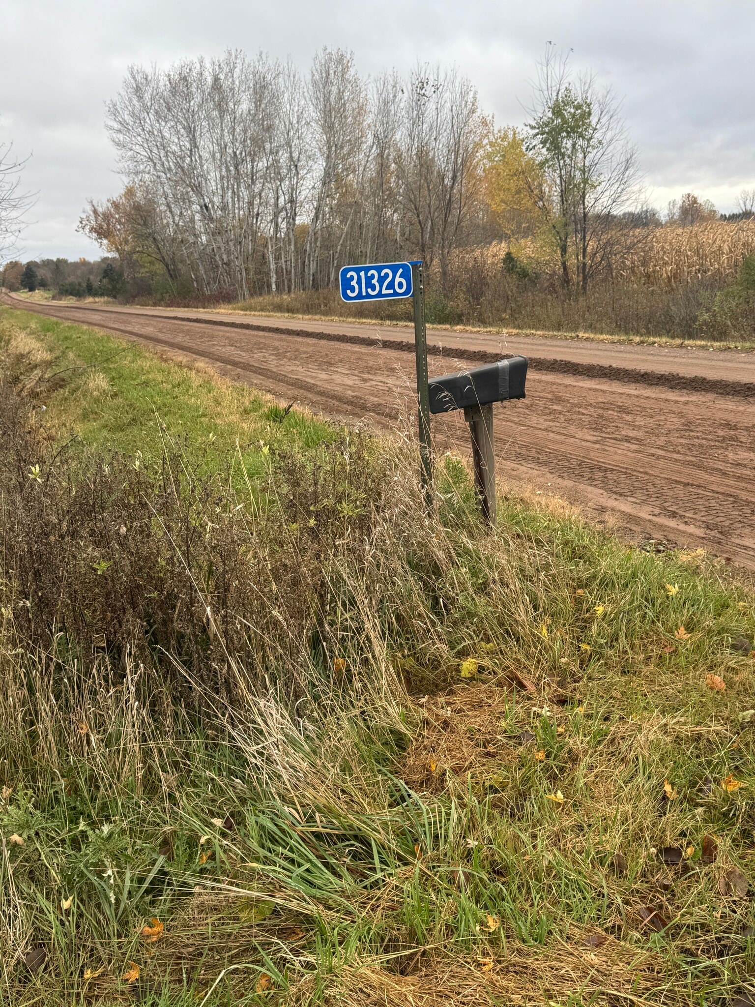 31326 Teal Ave, Shafer, MN for sale Other- Image 1 of 7