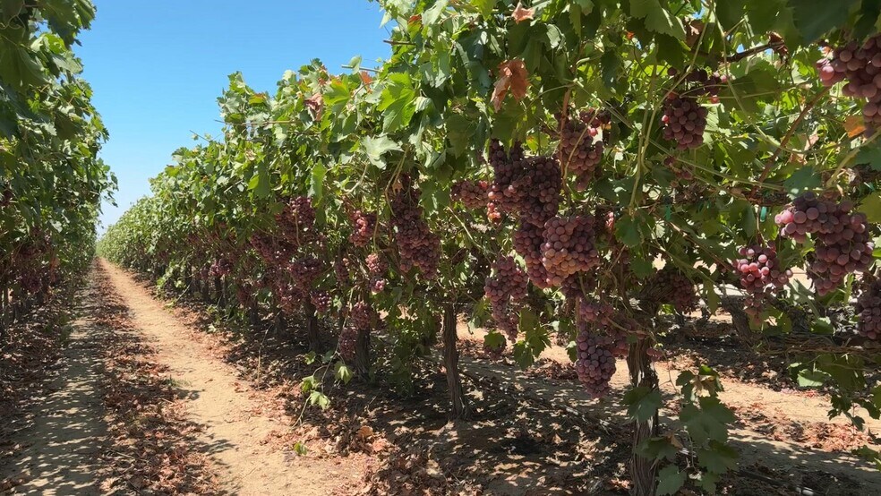 34338 Nevis, Mc Farland, CA à vendre - Vidéo sur l’inscription commerciale - Image 2 de 53