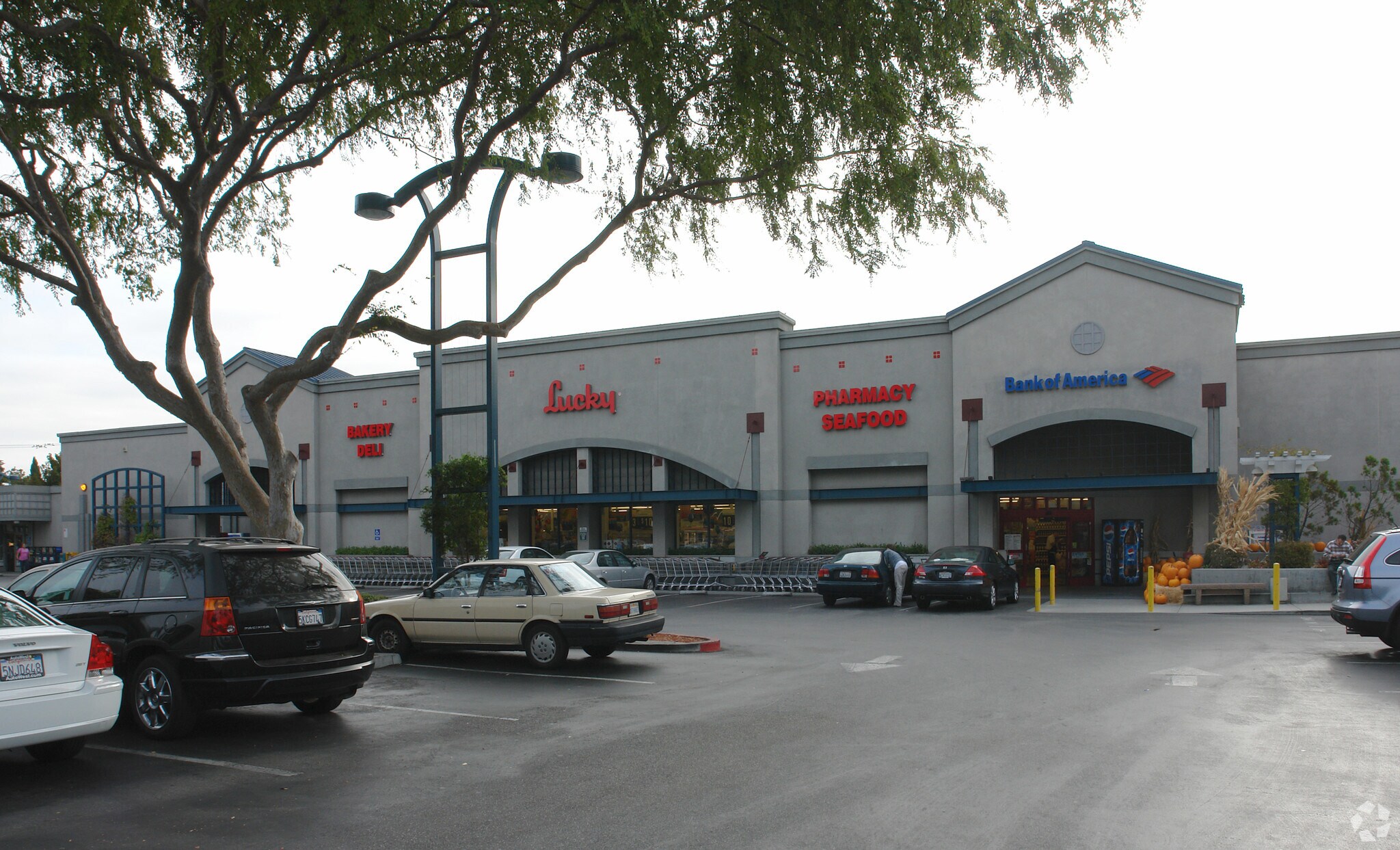 340-494 N Mathilda Ave, Sunnyvale, CA à louer Photo principale- Image 1 de 7