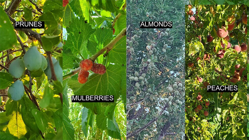 13915 US 70, Fort Thomas, AZ à vendre - Photo principale - Image 1 de 38