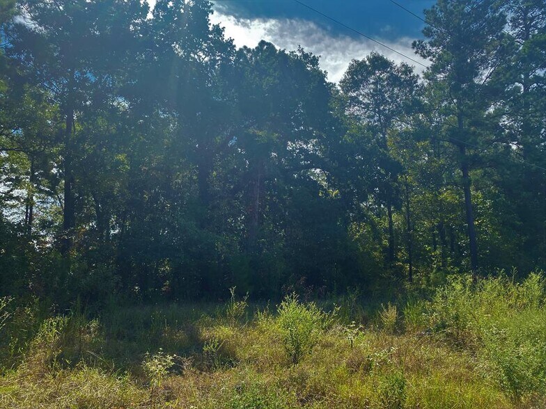 2.94 ac South Street, Nacogdoches, TX à vendre - Photo du bâtiment - Image 2 de 2