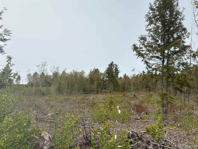 Parcel A Kunde Road, Skandia, MI à vendre Photo principale- Image 1 de 1