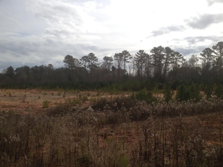 13259 Hwy 955 E, Clinton, LA à louer - Photo du bâtiment - Image 2 de 7