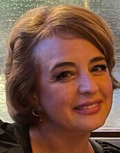 Mojgan Roghaniochehkani