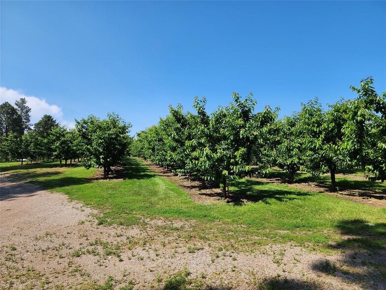 32624 S Finley Point Rd, Polson, MT à vendre - Photo du bâtiment - Image 2 de 10